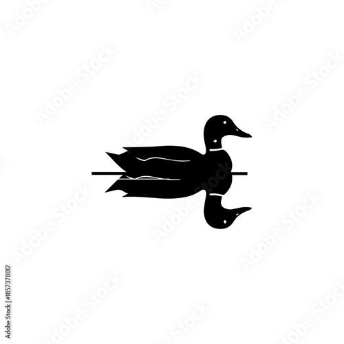 Duck isolated on a white background with natural bird features and feathers