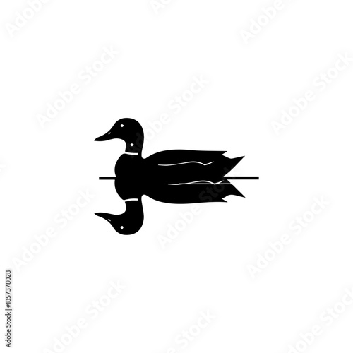 Duck isolated on a white background with natural bird features and feathers