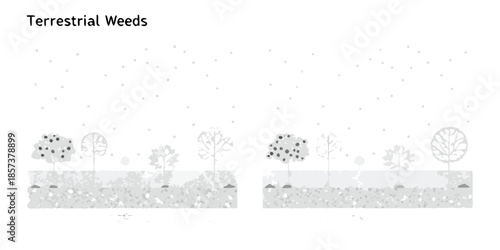 Simple illustration of trees and ground cover with a dotted background