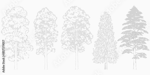 A grayscale illustration depicting a variety of tree shapes and sizes