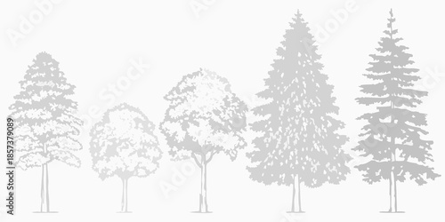 A grayscale illustration depicting a row of varying coniferous and deciduous trees