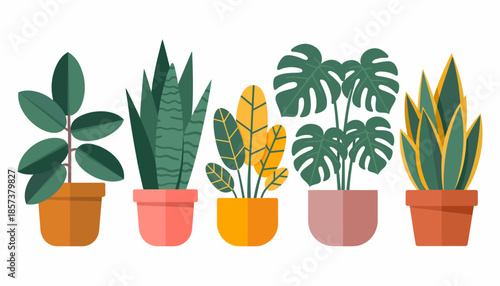 A vibrant display of various indoor plants in decorative pots, highlighting the beauty of greenery and the charm of indoor gardening, promoting a fresh home environment.