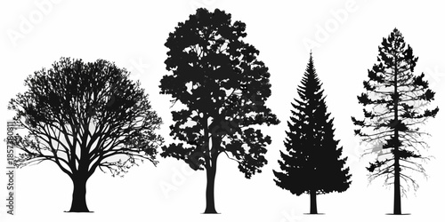 Silhouettes of diverse trees including deciduous and coniferous varieties