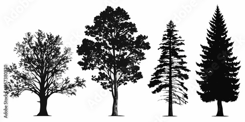 Silhouettes of varied trees a collection of natural forms in black and white
