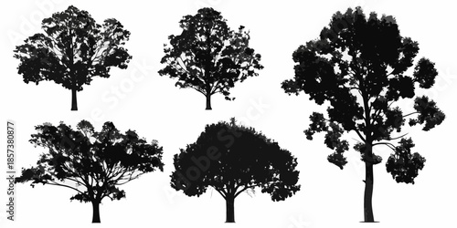 Collection of silhouetted trees against a plain white background