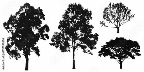 Silhouettes of various trees against a plain white background