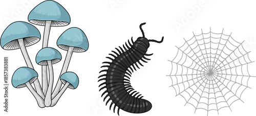 Forest ecosystem illustration set, mushrooms centipede spider web icons, biodiversity vector bundle, graphic nature habitat design pack