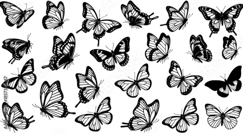 Collection of diverse Black  White Line Art Butterflies and Silhouettes for Nature, Wildlife, and Decorative Design projects. Hand-drawn insect vector illustration set.