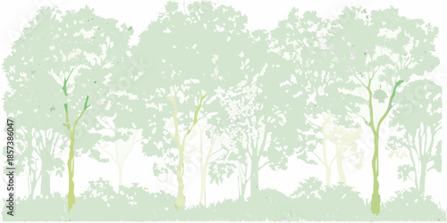 A serene illustration of a lush forest with varying tree heights