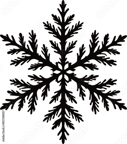 snowflake icon