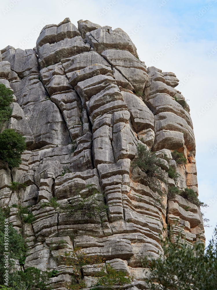 Fototapeta premium Karst landscape. It is a limestone relief that emerged from the sea, with whimsical formations, limestone pavements and towers. Canuto de la Utrera, Malaga, Andalucia, Spain.