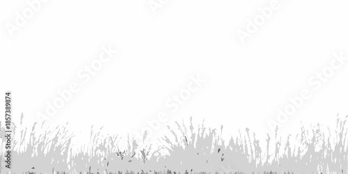 A grayscale image depicting blades of grass and sparse vegetation