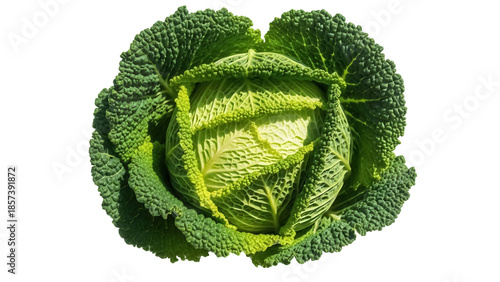 Obraz na płótnie Fresh savoy cabbage isolated PNG on transparent background, vibrant green vegeta