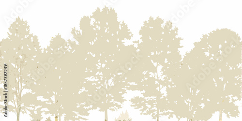 Silhouette of tall slender trees against a pale neutral background