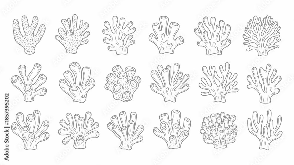Fototapeta premium Coral Reefs Set Outline vector.