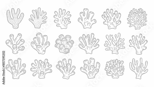 Coral Reefs Set Outline vector.