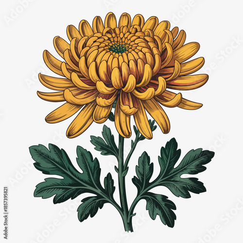 This stunning illustration showcases a golden chrysanthemum flower, symbolizing beauty, warmth, and nature's elegance with rich detailing and vibrant colors.