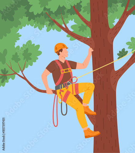 An arborist in safety gear climbs a tree, demonstrating skill and expertise in tree care, as he navigates branches for maintenance and inspection, ensuring safety.