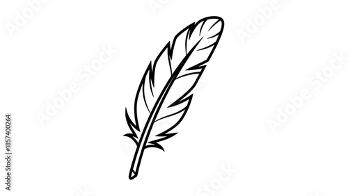 Single Bird Feather Outline, isolated white background.