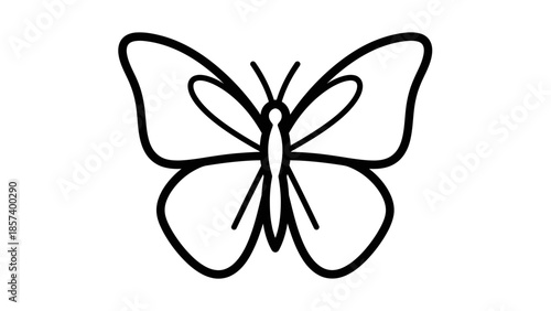 Delicate Butterfly Outline Drawing, Isolated White Background, Insect Line Art