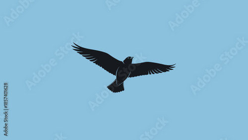 Bird Flying with Spread Wings in Air.