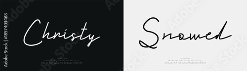 Elegant script alphabet letters font and number. Classic Lettering Minimal Fashion Designs. Typography modern serif fonts regular decorative vintage concept. vector illustration
