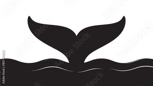 Whale Tail Diving into Ocean Water