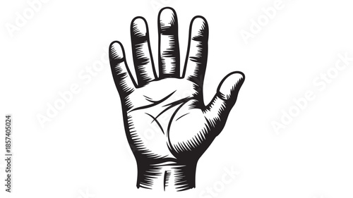 Hand Showing Five Fingers in Black and White Illustration