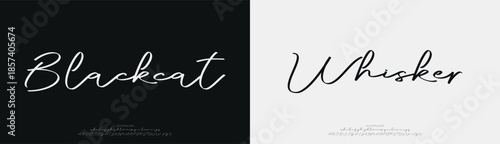 Luxury script alphabet letters font with tails. Typography elegant classic lettering serif fonts and number decorative vintage retro concept for logo branding. vector illustration
