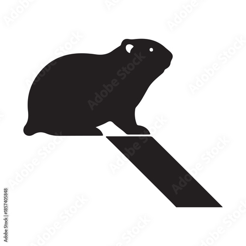 Silhouette of a groundhog standing on a ramp