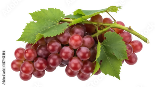 Φωτογραφία Fresh red grapes with leaves isolated PNG, delicious fruit for healthy eating an