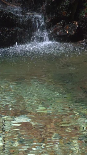 Wallpaper Mural 清らかな滝の流れ
岩門の滝　（岐阜県関市洞戸）
 Torontodigital.ca