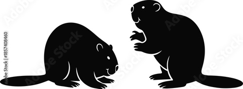 Two Detailed Black Silhouettes of Beavers Including One Crouched Low and One Standing on Hind Legs, Both Isolated on a White Background