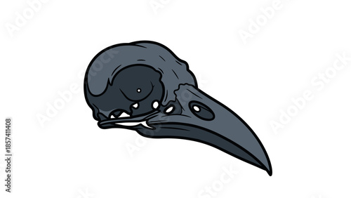 Black Bird Skull with Beak Illustration.