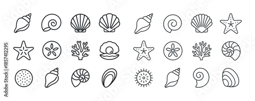 Collection of simple black and white sea shell and marine life i
