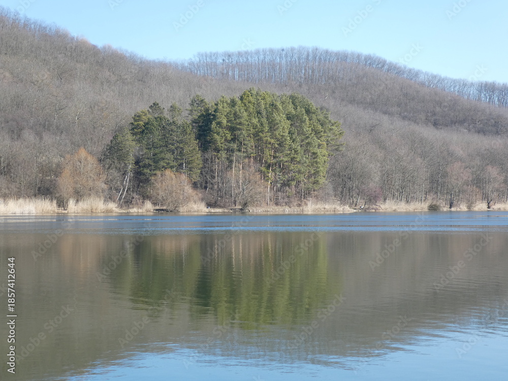 Fototapeta premium reflection in winter
