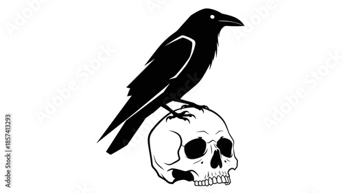 Black Crow Perched on Human Skull.