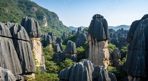 Dark, sculpted rock formations rise amidst lush greenery