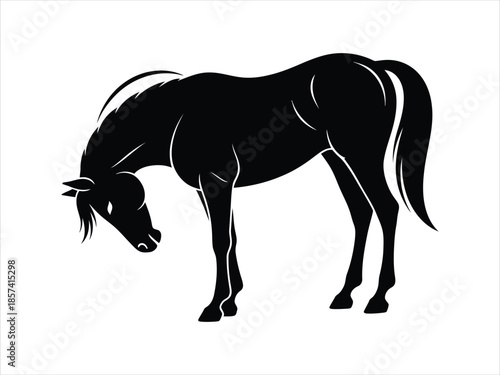 A black horse stands alone, its head lowered in a serene pose, showcasing elegance in simplicity.