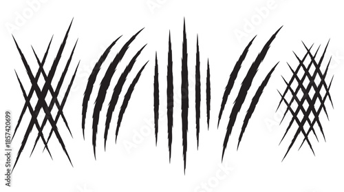 A collection of various monster claw scratch marks and animal scratch patterns vector illustration