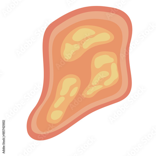 Human Parasites Coccidia Illustration. Vector Illustration of a Human Intestinal Parasites
