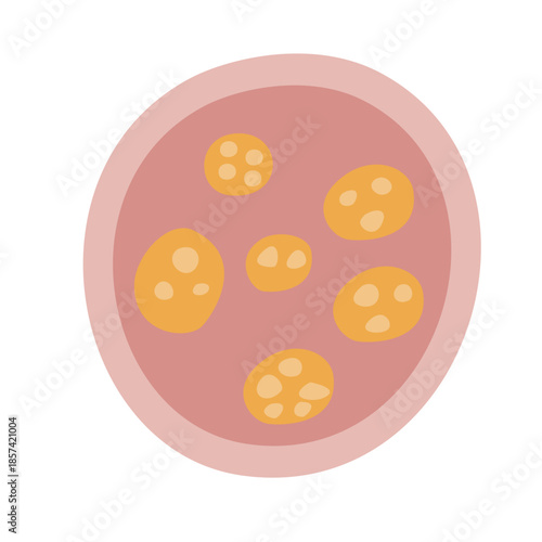 Human Parasites Coccidia Illustration. Vector Illustration of a Human Intestinal Parasites
