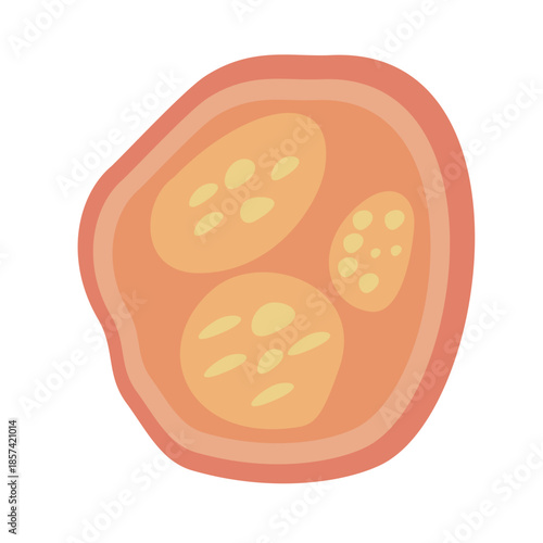 Human Parasites Coccidia Illustration. Vector Illustration of a Human Intestinal Parasites
