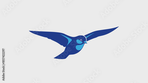 Blue Bird in Flight with Spread Wings.
