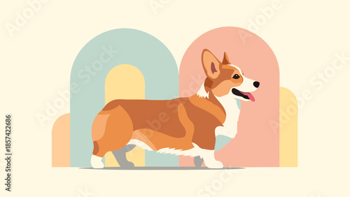 A happy corgi in a playful pose surrounded by colorful arches, illustrating a lively pet care lifestyle scene from a straightforward viewpoint.