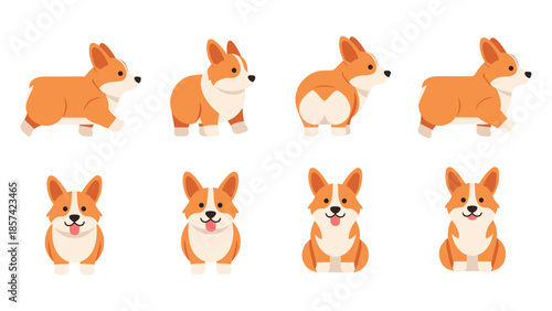 Collection of cartoon corgis in various poses and expressions showcasing petcare and lifestyle