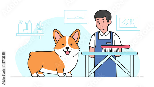 Grooming a corgi dog at a pet grooming salon with a groomer standing beside a grooming table