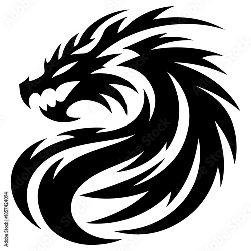 black and white dragon vector