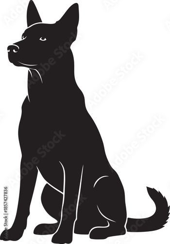 Black dog sitting in alert posture looking left