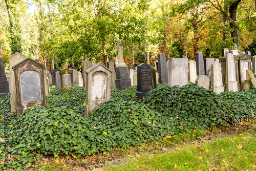 The New Jewish Cemetery in Zizkov district, Prague, Czechia, where notable people such as Kafka are buried. 